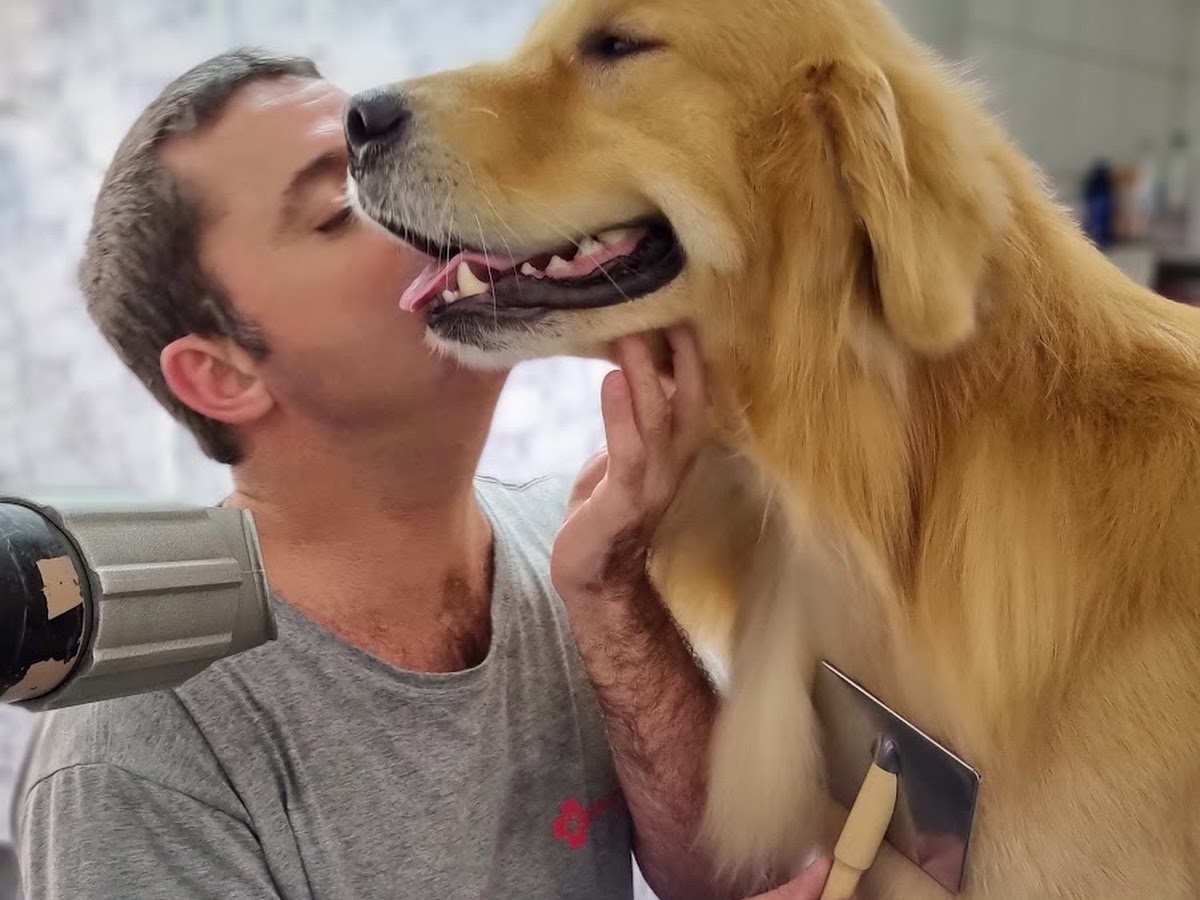 Mascote e Cia - Clínica Veterinária e Petshop em Florianópolis — foto 3