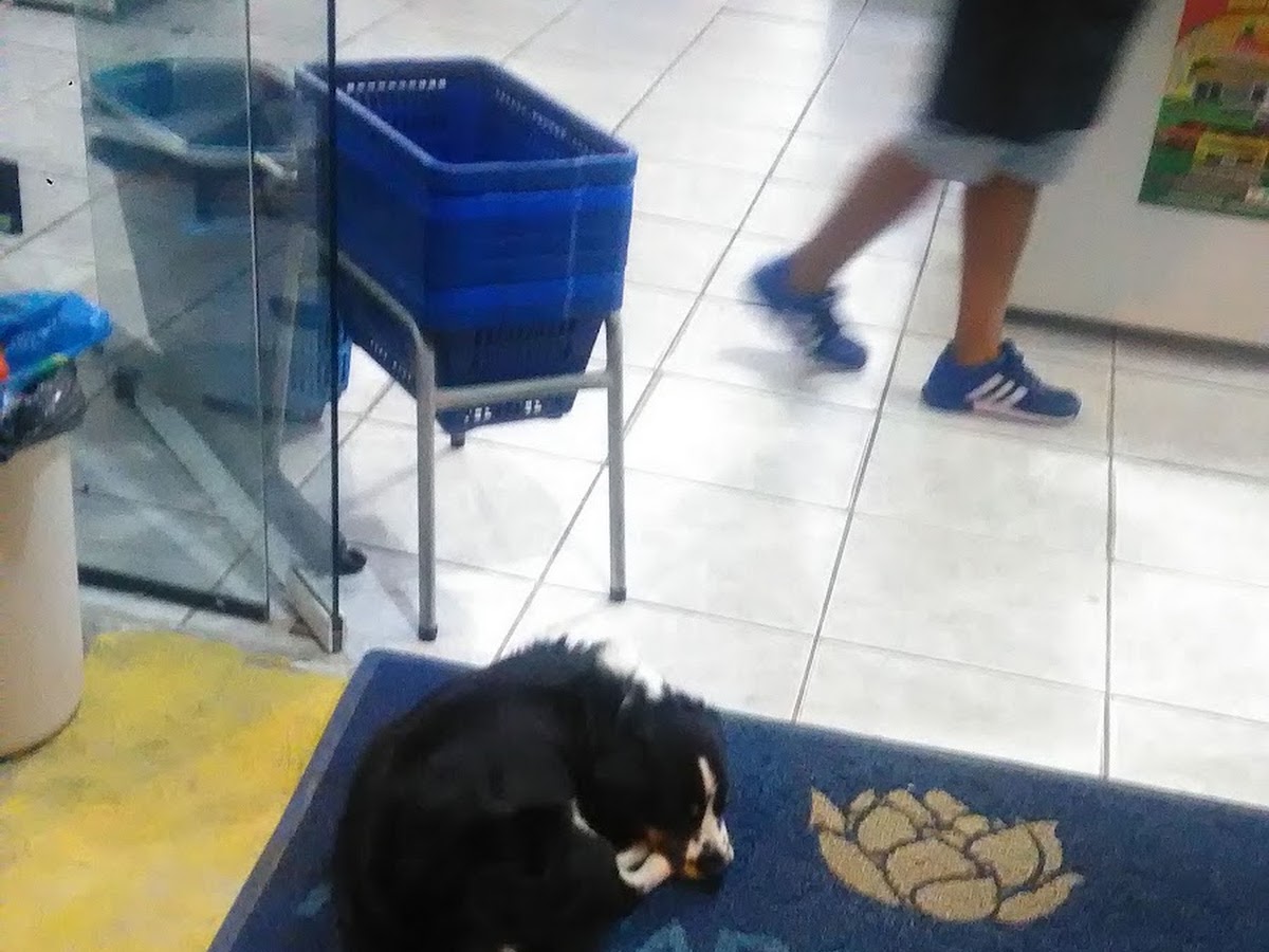 Mercado Harmonia Santinho em Florianópolis — foto 2