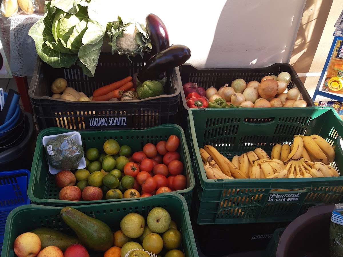 MERCADO MODESTO em Florianópolis — foto 3