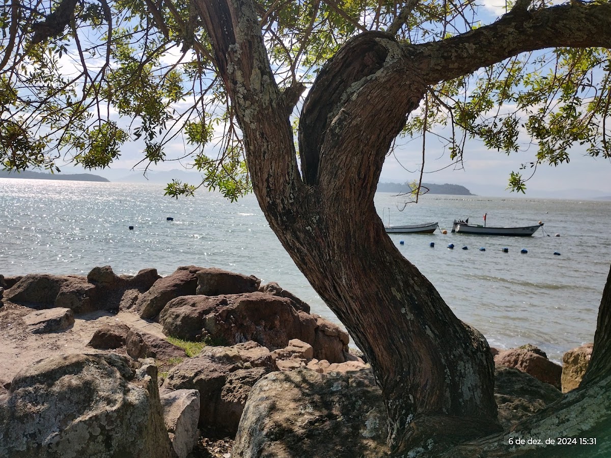 Mirante da Ponta do Sambaqui em Florianópolis — foto 2