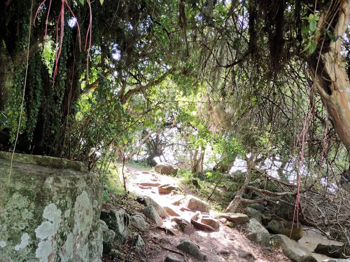 Mirante da Ponta do Sambaqui em Florianópolis — foto 4