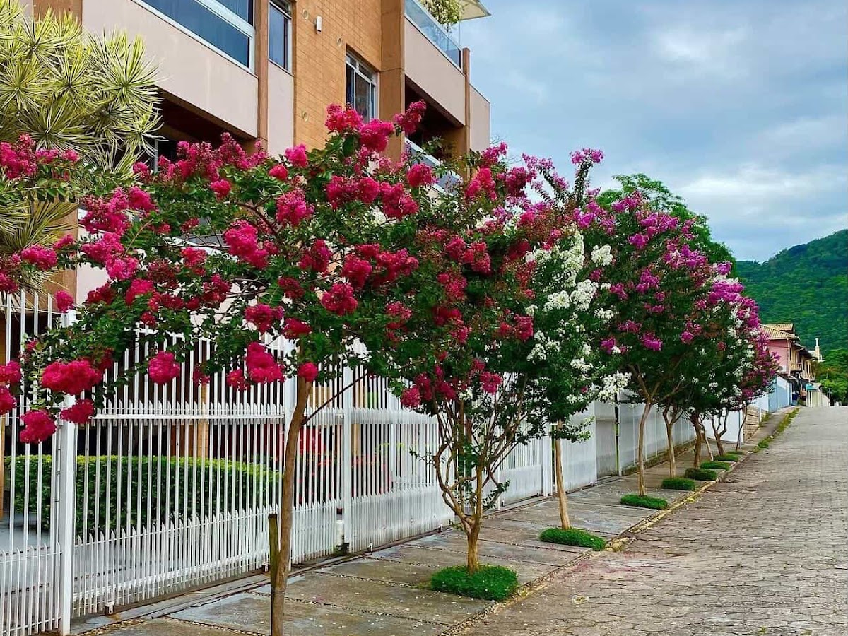 Foto da Moreira Zeladoria
