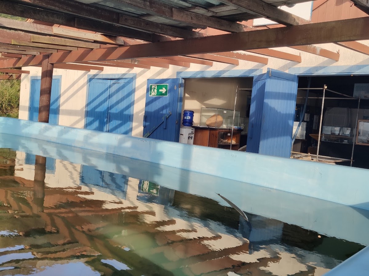 Museu do Naufrágio. ONG PAS. Projeto de arqueologia subaquática em Florianópolis — foto 3