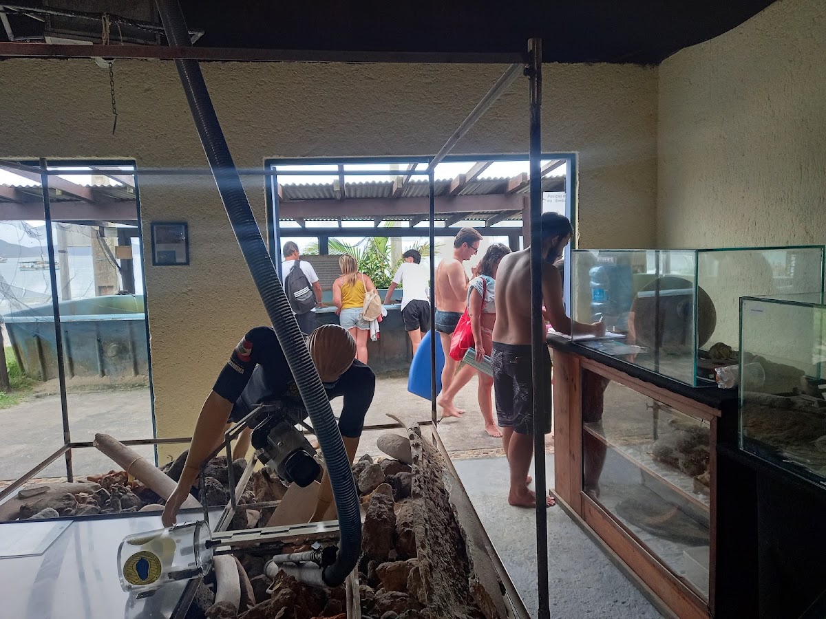 Museu do Naufrágio. ONG PAS. Projeto de arqueologia subaquática em Florianópolis — foto 4