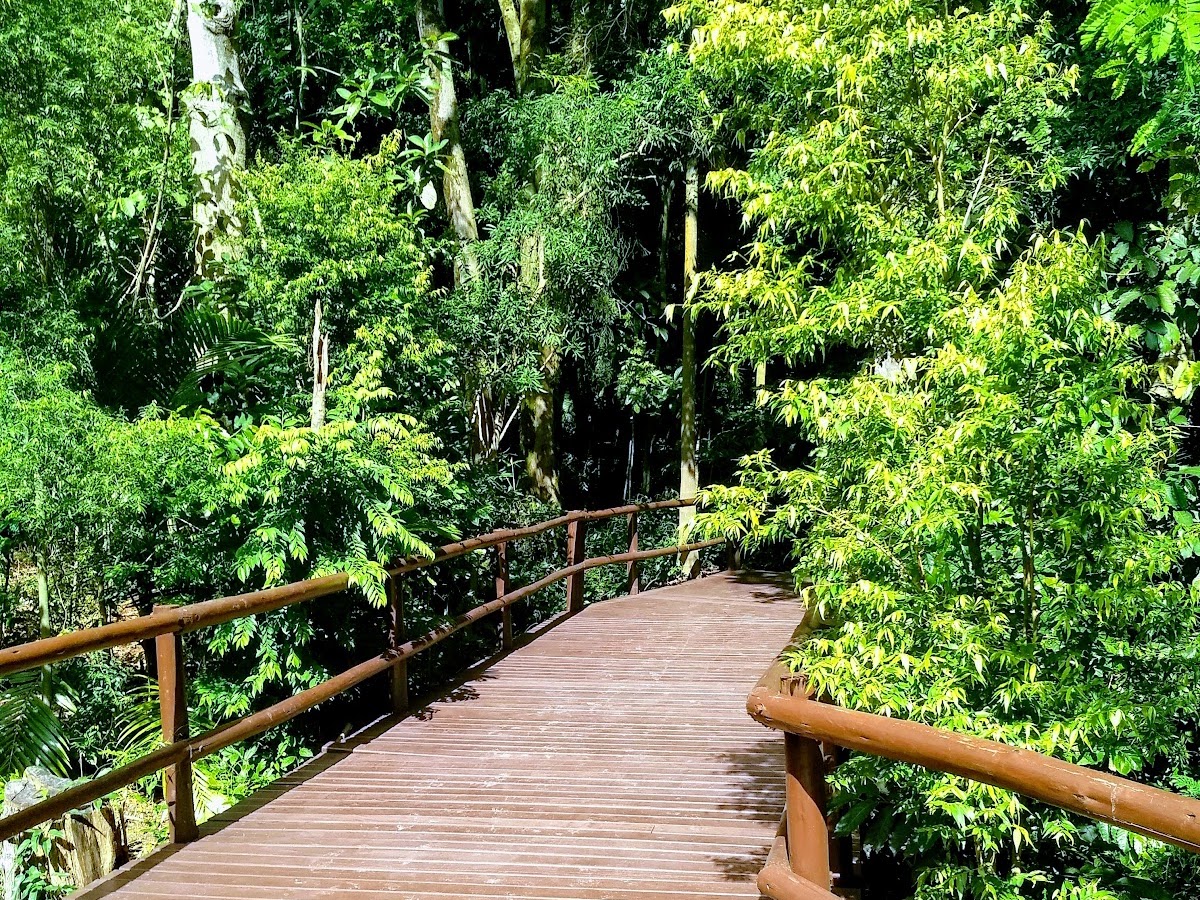 Museu do Presépio Bosque Pedro Medeiros Estreito em Florianópolis — foto 3