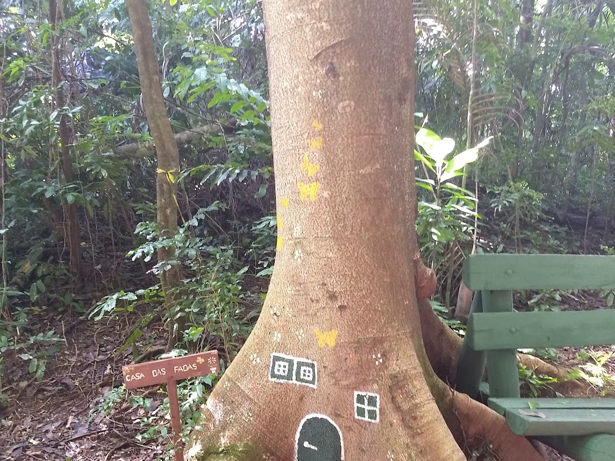 Museu do Presépio Bosque Pedro Medeiros Estreito em Florianópolis — foto 4