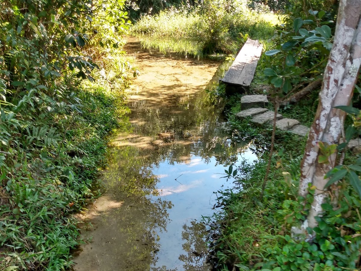 Nascente do Rio Vermelho em Florianópolis — foto 1