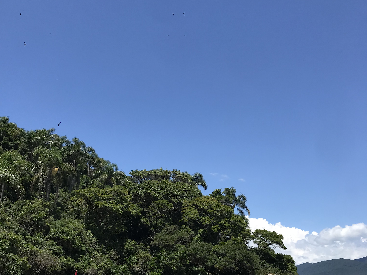 Navegar Floripa - Passeio de Barco em Florianópolis — foto 1