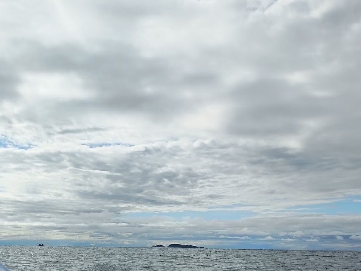 Navegar Floripa - Passeio de Barco em Florianópolis — foto 4