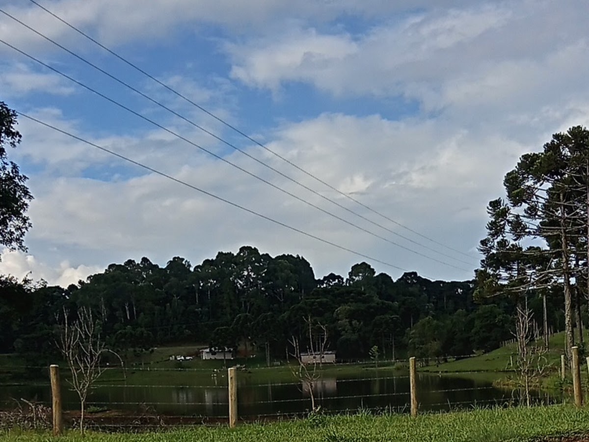Foto da NEIM Chico Mendes