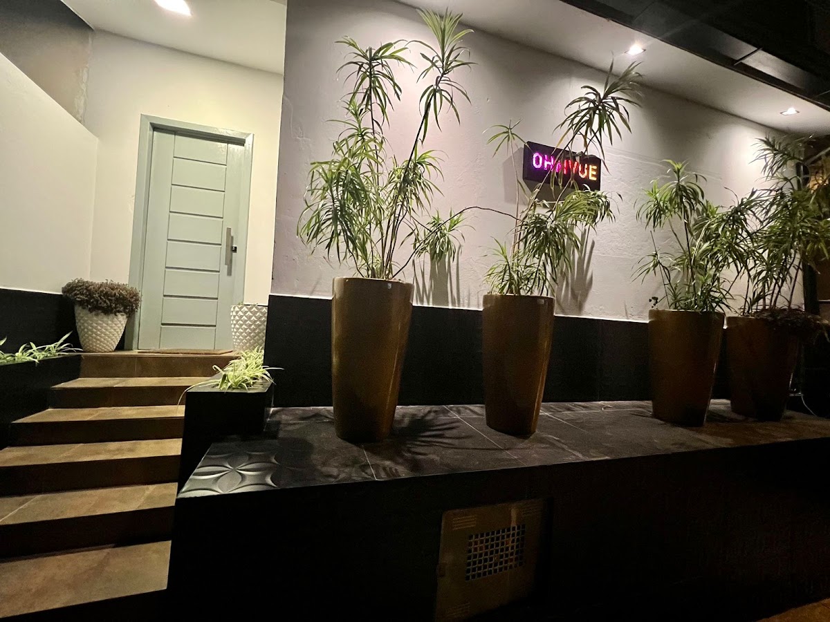 Ohmvue Produções em Florianópolis — foto 1