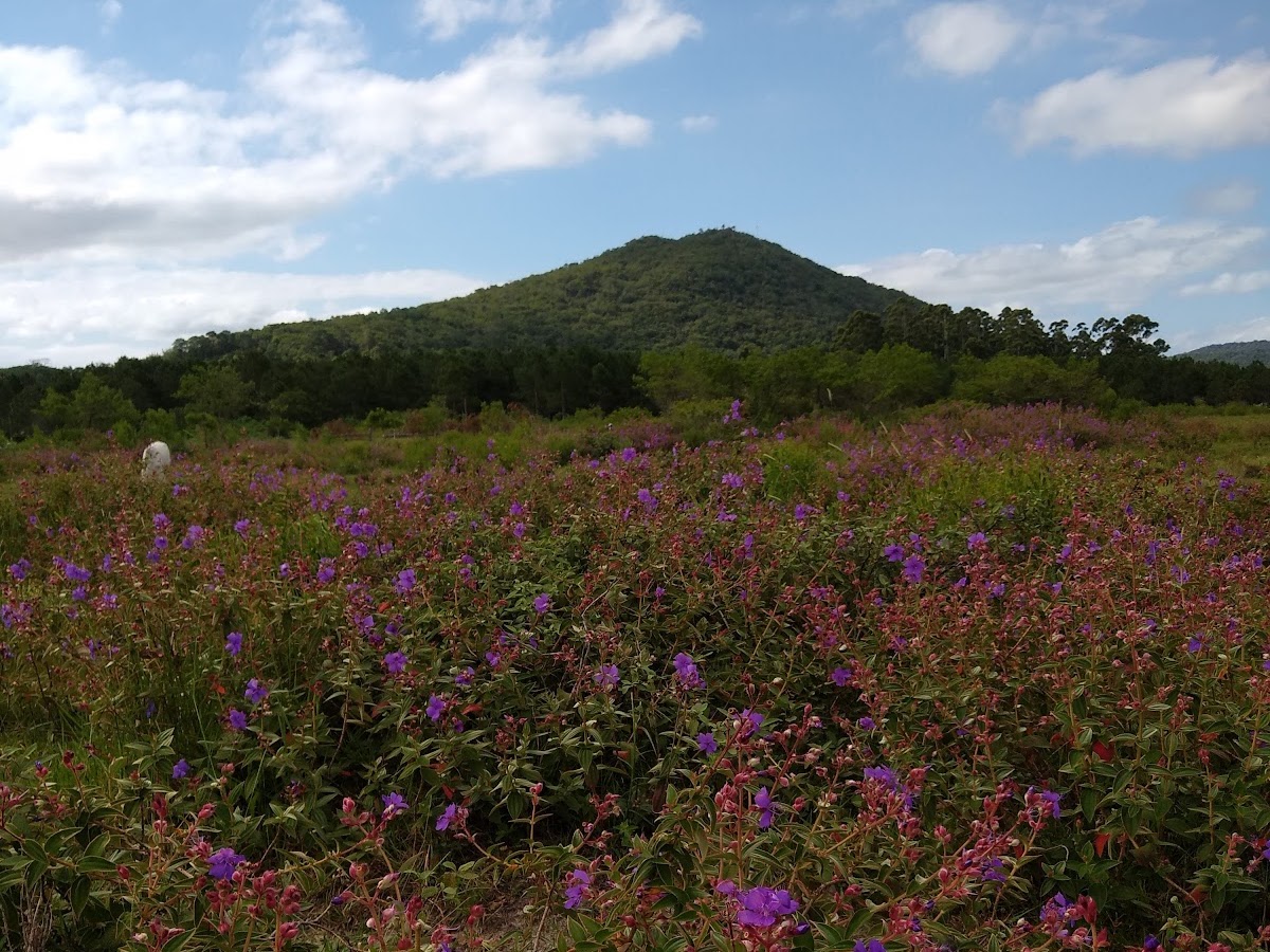 Pacuca - Parque Cultural do Campeche em Florianópolis — foto 1