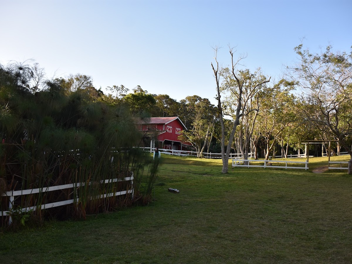 Parque Ambiental Adolfinha em Florianópolis — foto 4