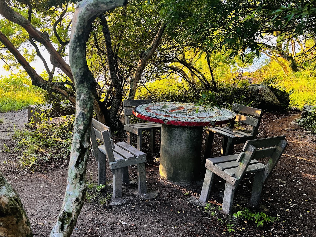 Foto da Parque Aníbal da Rocha Nunes Pires