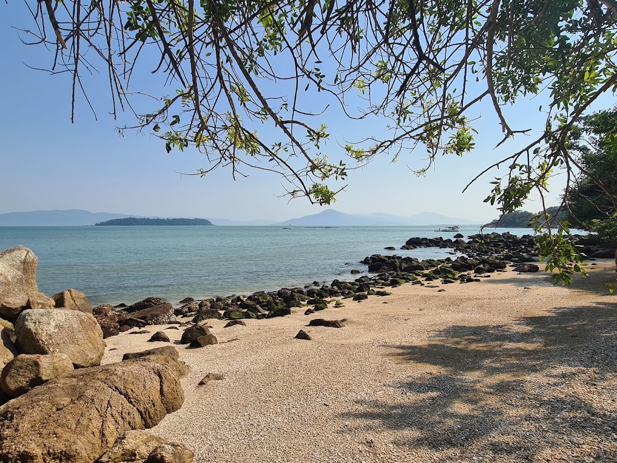 Parque Aníbal da Rocha Nunes Pires em Florianópolis — foto 2