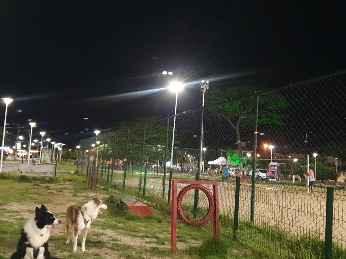Parque Carianos em Florianópolis — foto 2