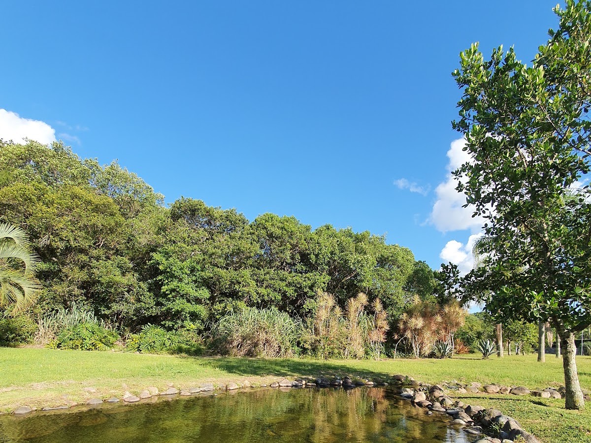 Parque com lago em Florianópolis — foto 2