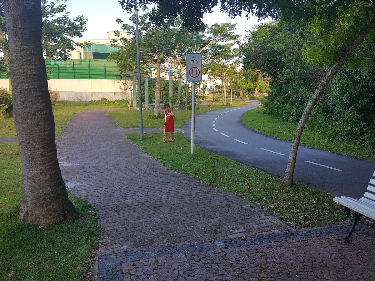 Parque com lago em Florianópolis — foto 4
