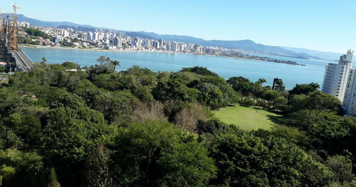 Foto da Parque da Luz