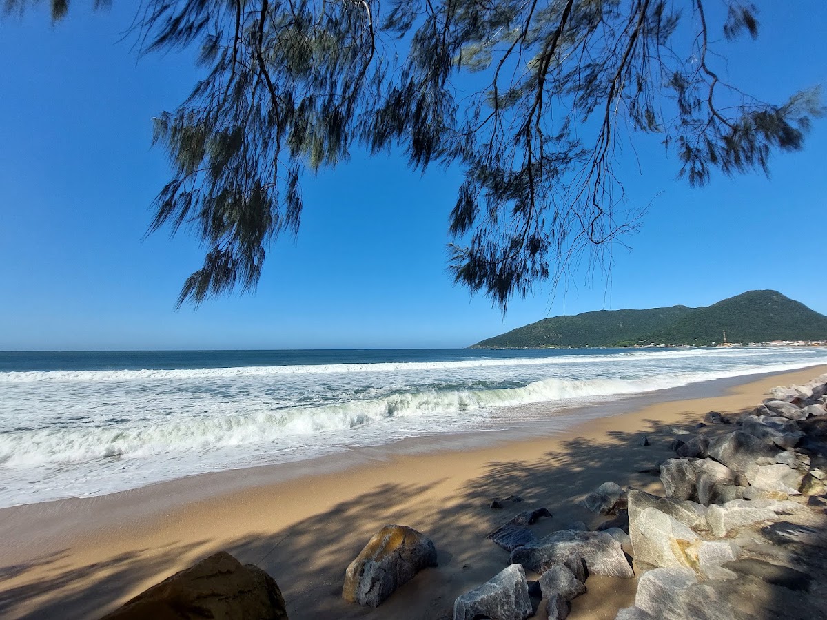 Parque das Dunas e Trilha para a Praia em Florianópolis — foto 2
