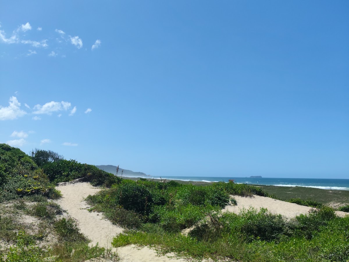 Parque das Dunas e Trilha para a Praia em Florianópolis — foto 3