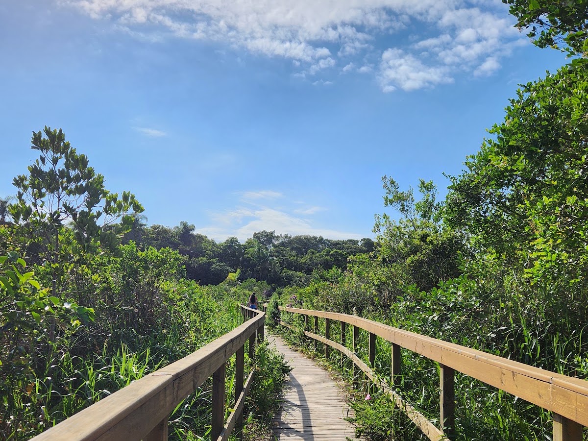 Parque das Dunas em Florianópolis — foto 2