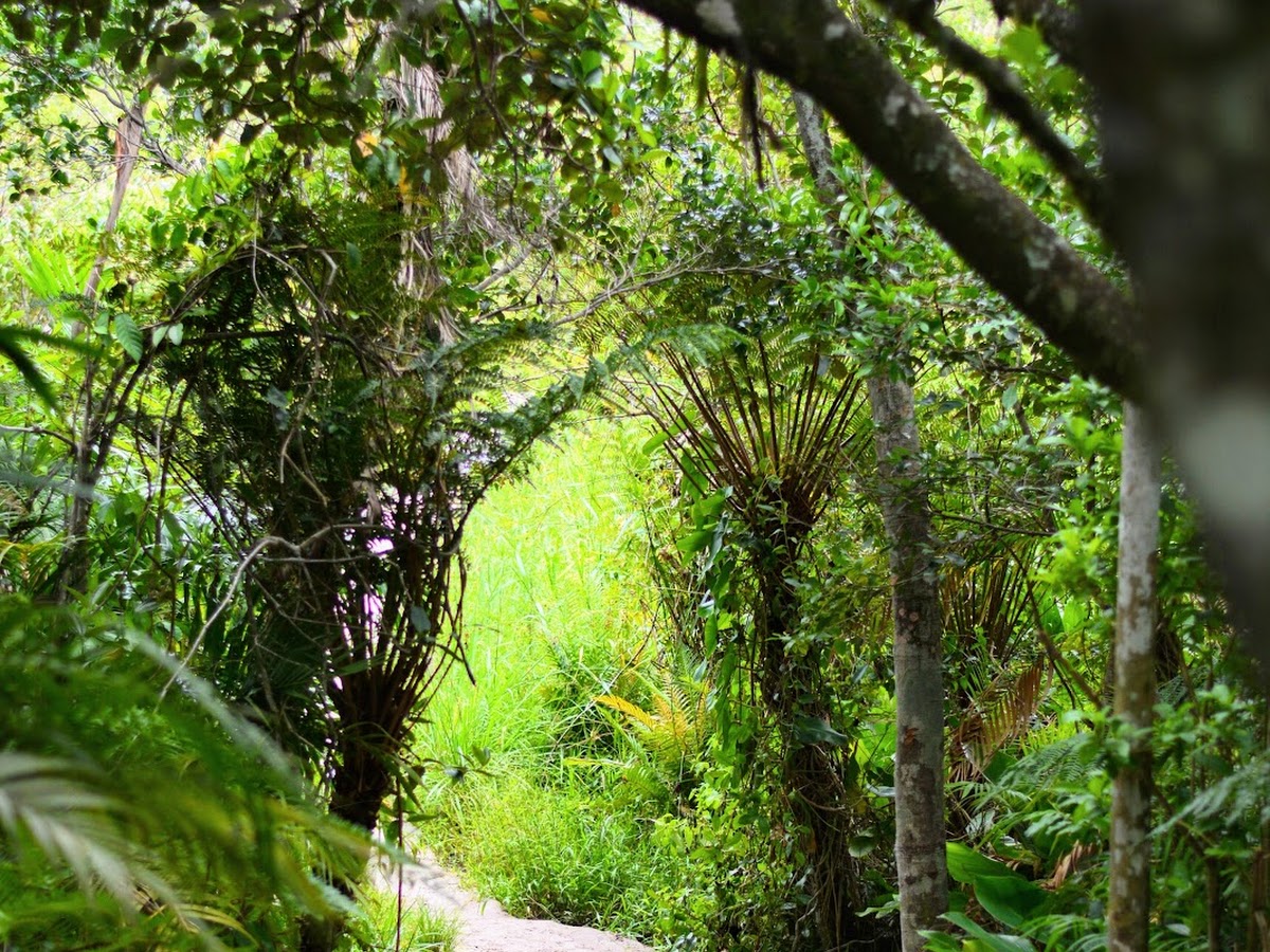 Parque das Dunas em Florianópolis — foto 3