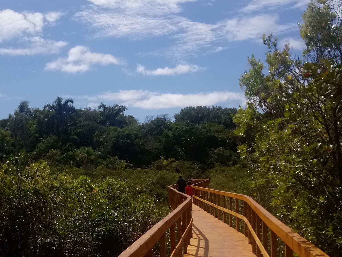 Parque das Dunas em Florianópolis — foto 4