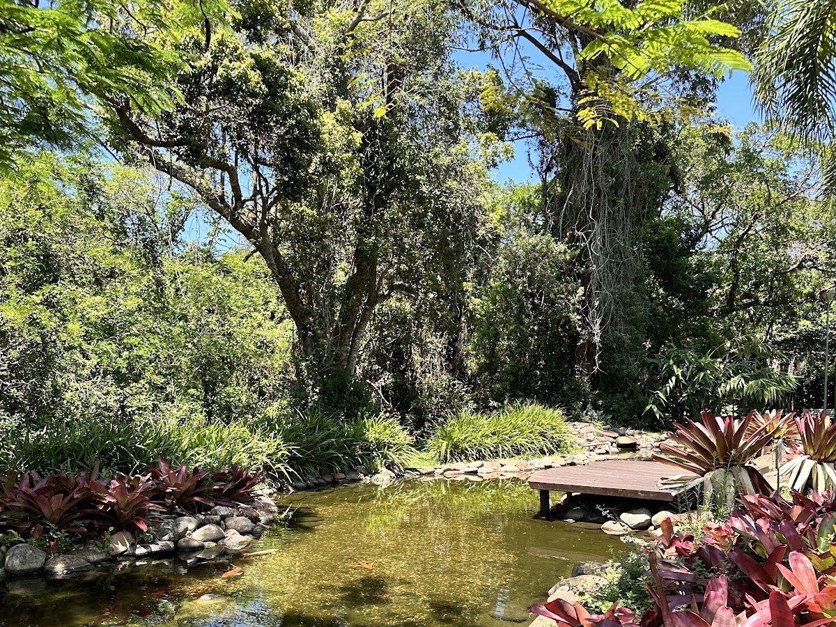 Parque do Lamim em Florianópolis — foto 1