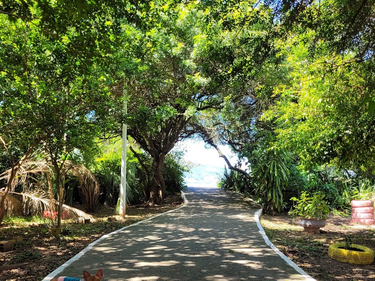 Parque dos cachorros em Florianópolis — foto 2