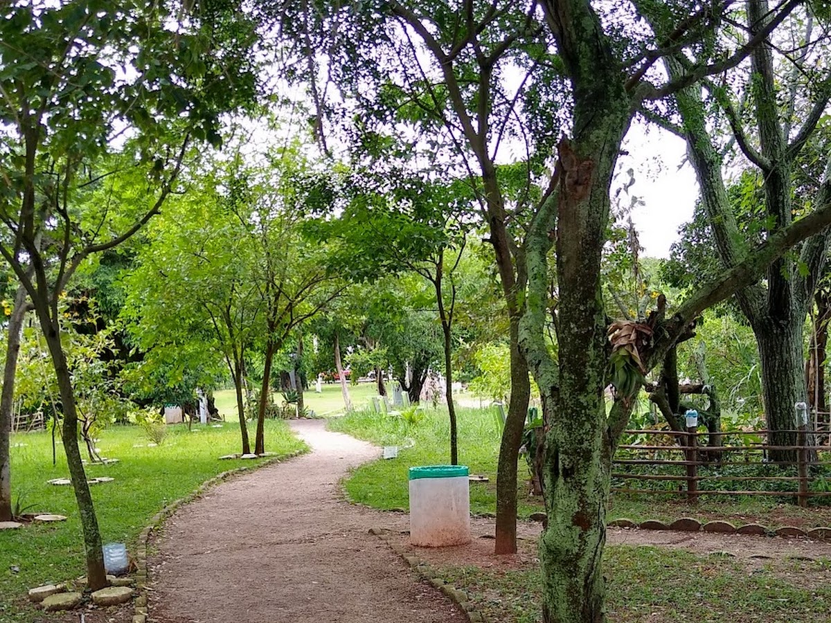 Parque Ecológico Comunitário Ilha das Conchas em Florianópolis — foto 2