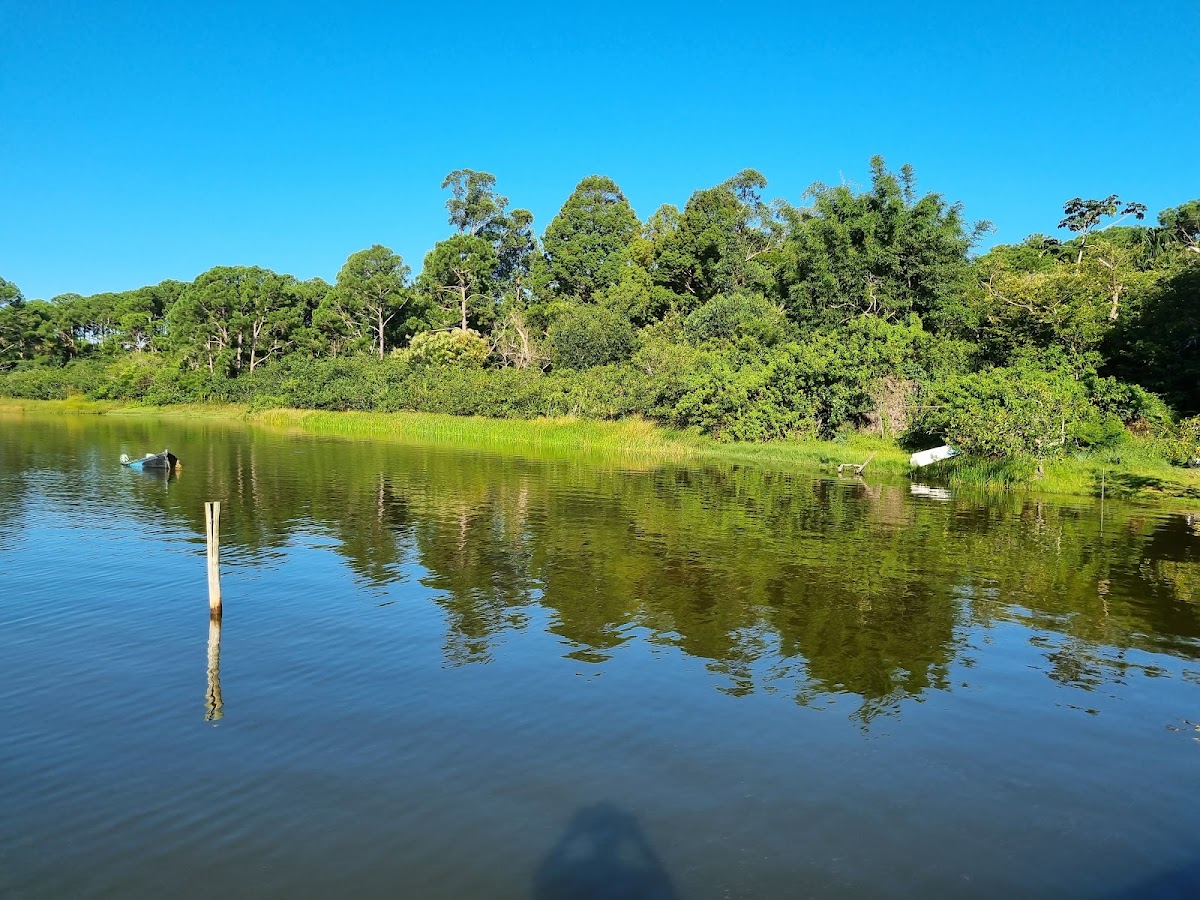 Parque Estadual do Rio Vermelho em Florianópolis — foto 3