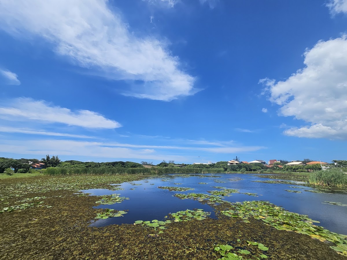 Parque Lagoa da Chica em Florianópolis — foto 1