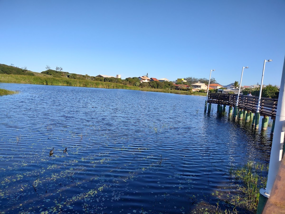 Parque Lagoa da Chica em Florianópolis — foto 2