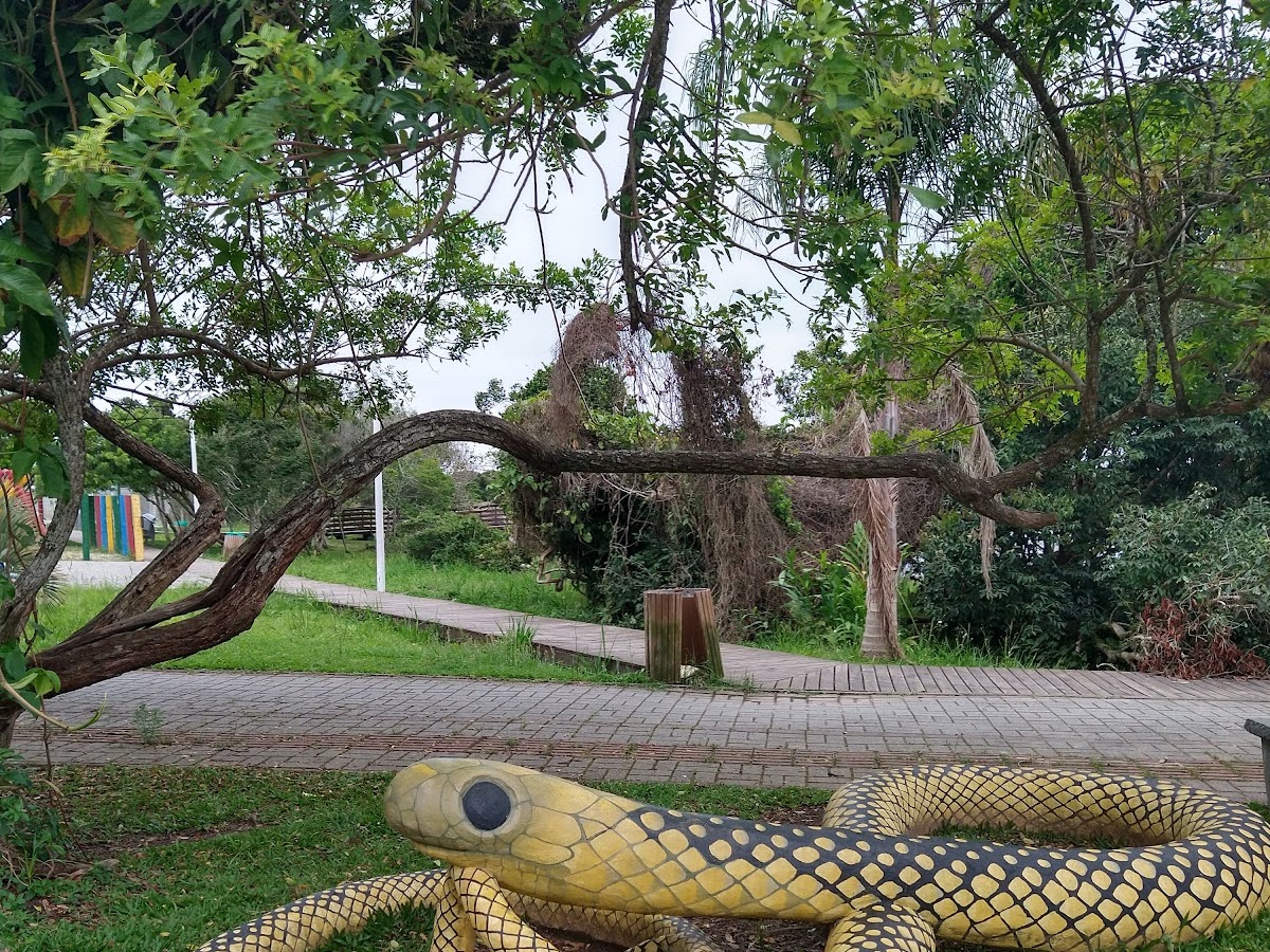 Parque Lagoa da Chica em Florianópolis — foto 3