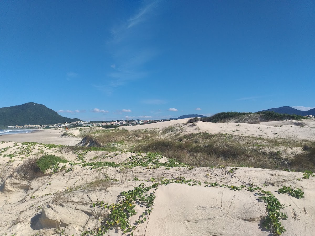 Parque Lagoa do Jacaré em Florianópolis — foto 3