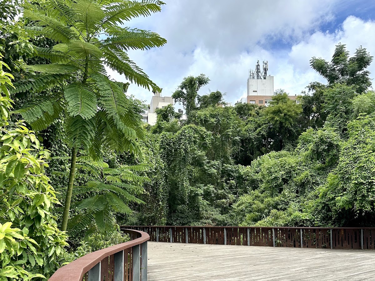 Parque Linear Córrego Grande em Florianópolis — foto 1