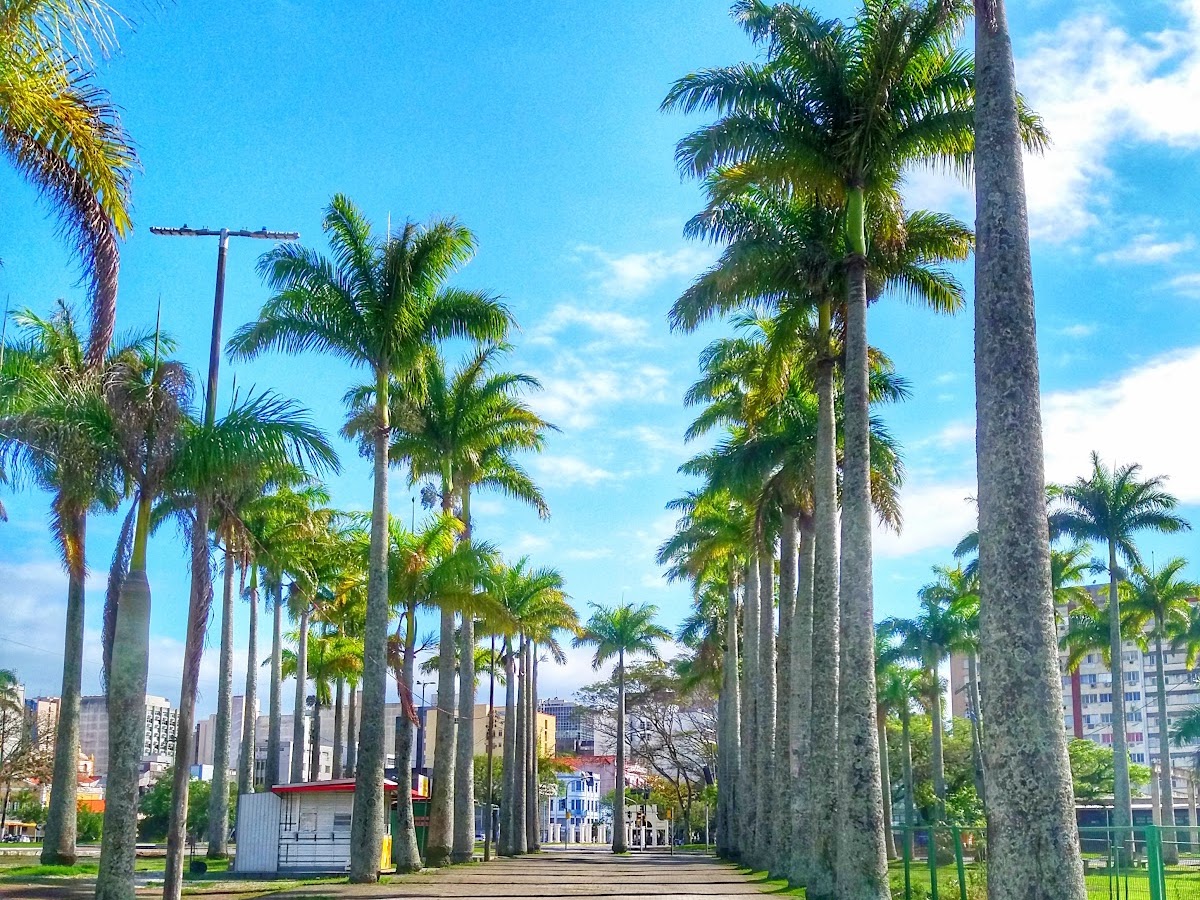 Parque Metropolitano Francisco Dias Velho em Florianópolis — foto 1