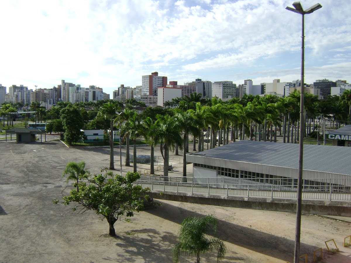Parque Metropolitano Francisco Dias Velho em Florianópolis — foto 2