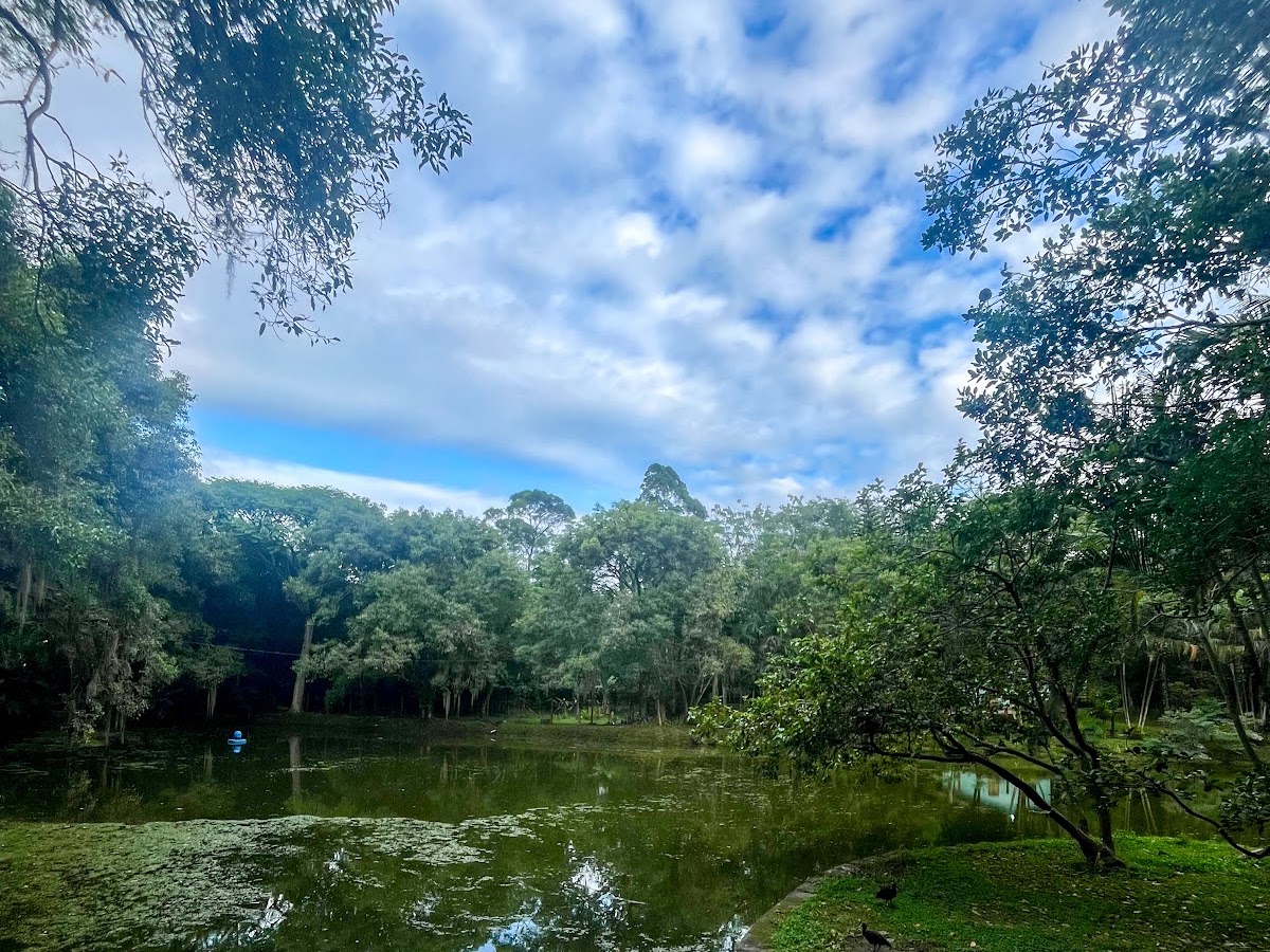 Parque Municipal Córrego Grande em Florianópolis — foto 2