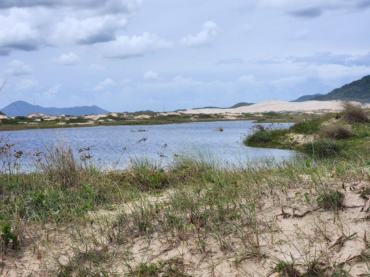 Parque Natural Municipal das Dunas da Lagoa da Conceição em Florianópolis — foto 3