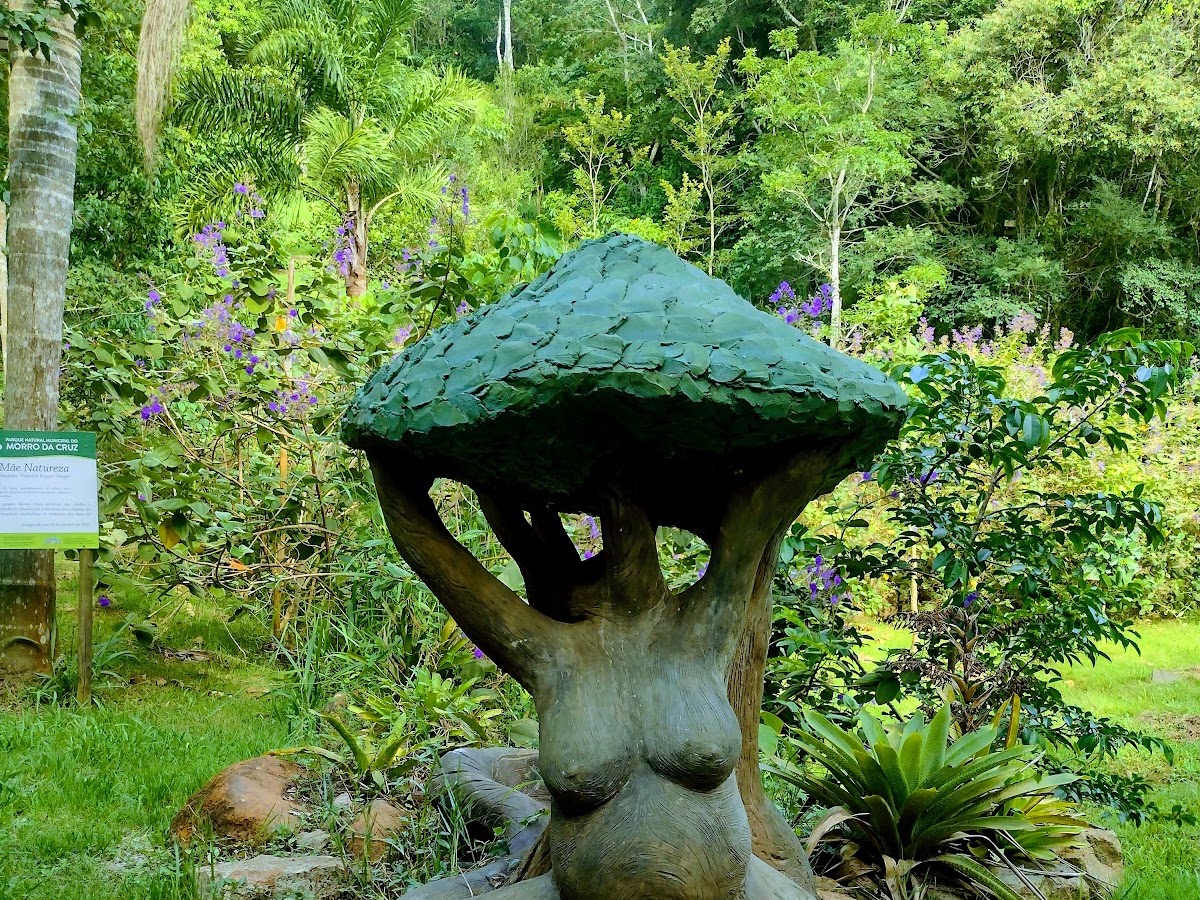 Parque Natural Municipal do Morro da Cruz em Florianópolis — foto 4