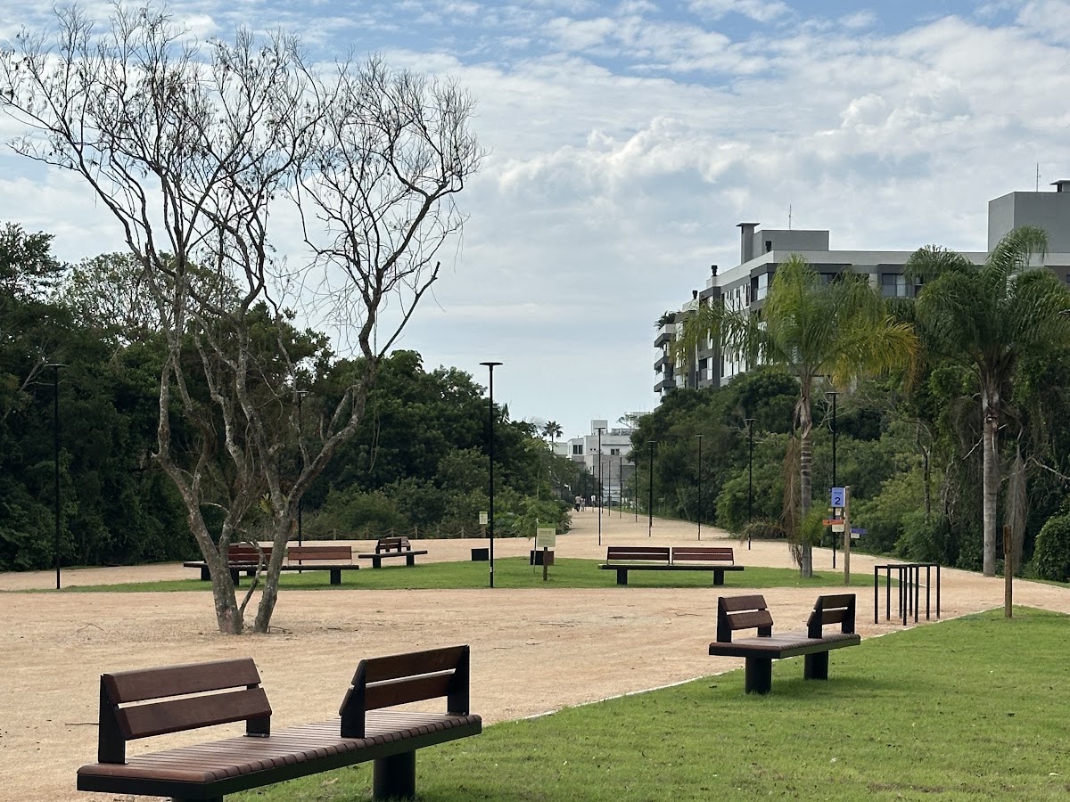 Parque Péricles de Freitas Druck em Florianópolis — foto 1