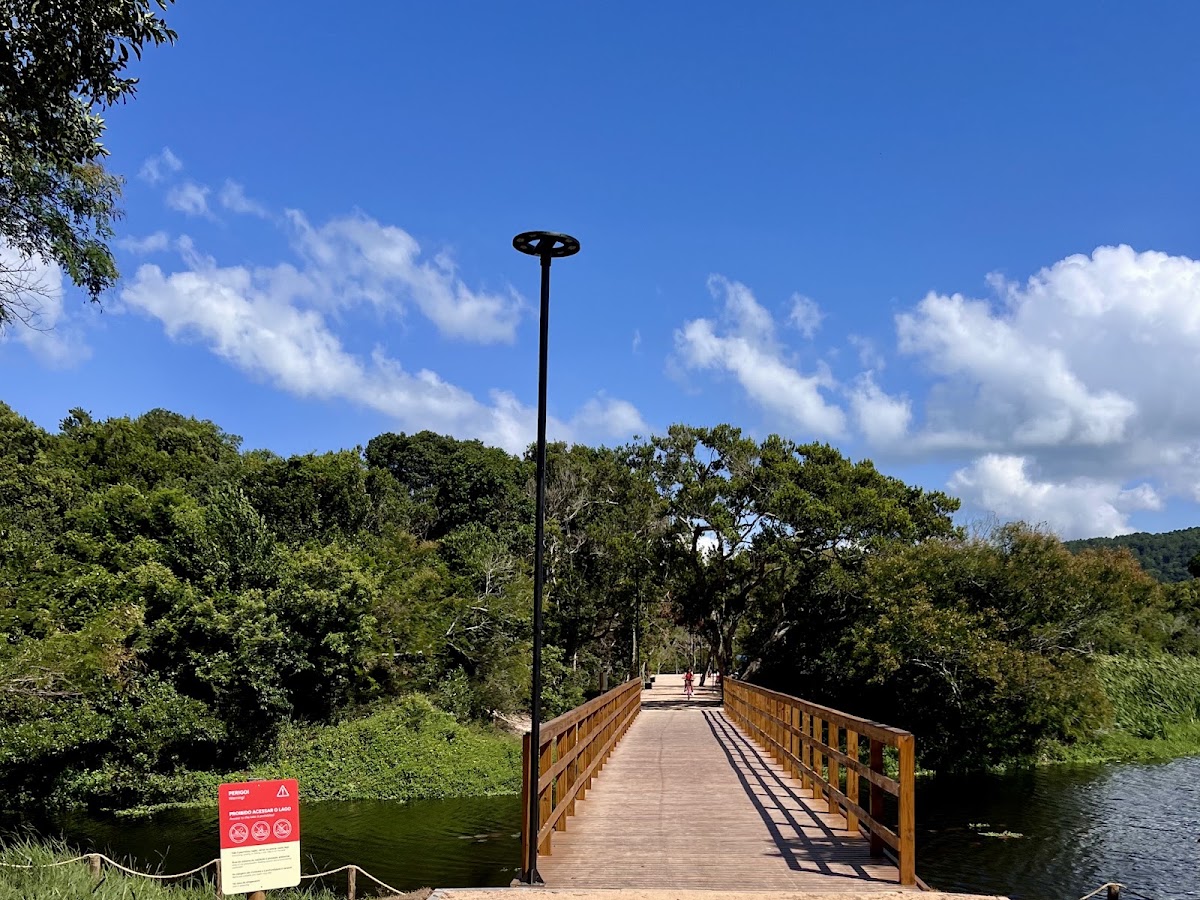 Parque Péricles de Freitas Druck em Florianópolis — foto 2