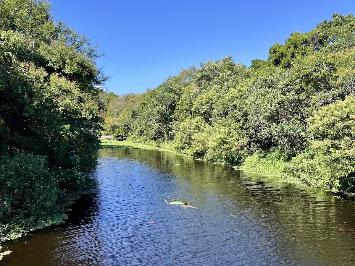 Parque Péricles de Freitas Druck em Florianópolis — foto 3