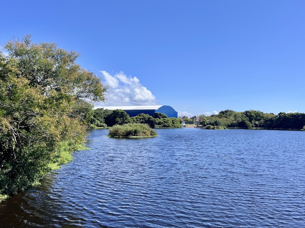 Parque Péricles de Freitas Druck em Florianópolis — foto 4