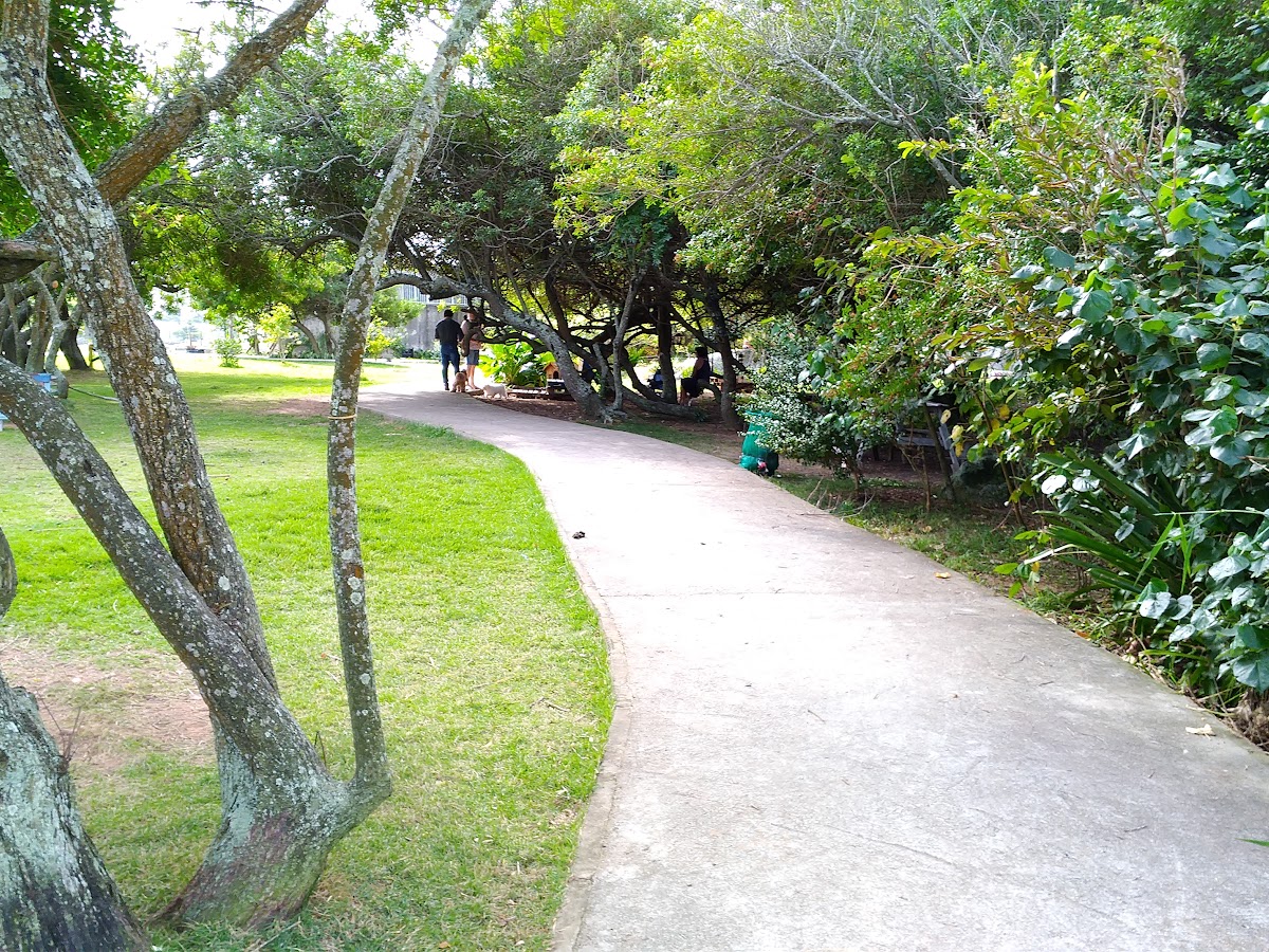Parque Ponta da Ilhota. em Florianópolis — foto 2