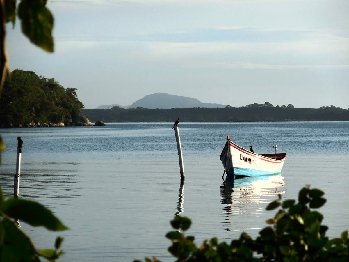 Foto da Passeios de Barco - Costa da Lagoa