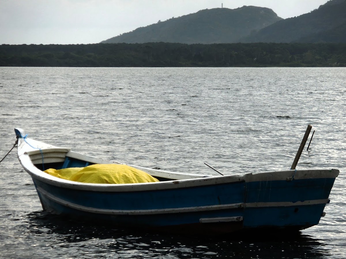 Passeios de Barco - Costa da Lagoa em Florianópolis — foto 3