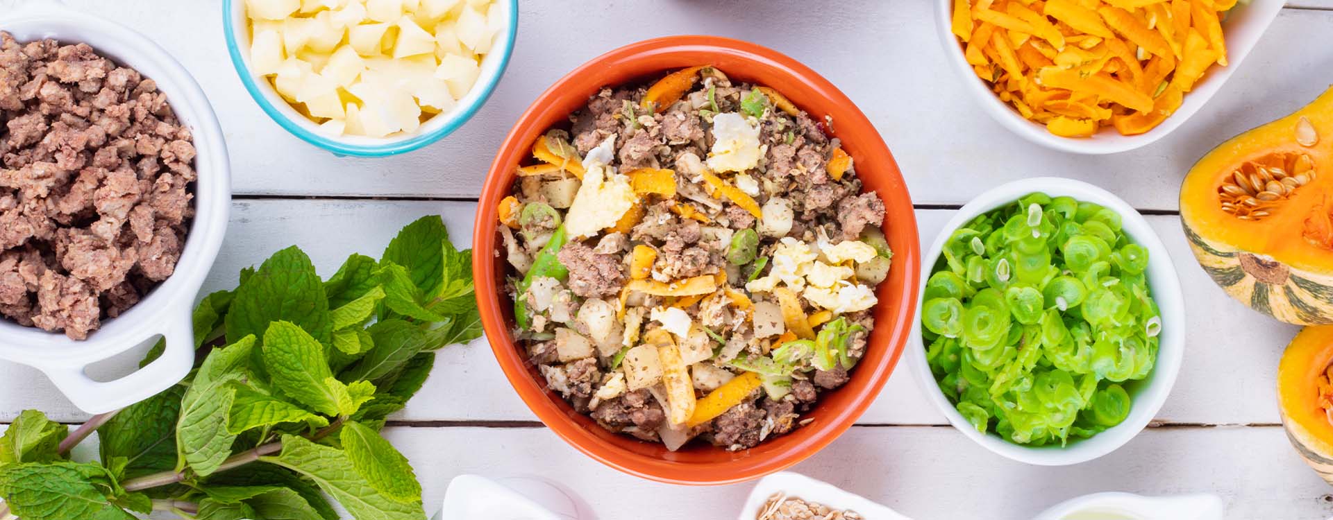 Pega na Porta | Alimentação Natural Pet | @peganaporta em Florianópolis — foto 1